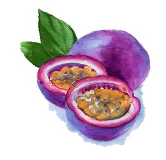 Granadilla Logo