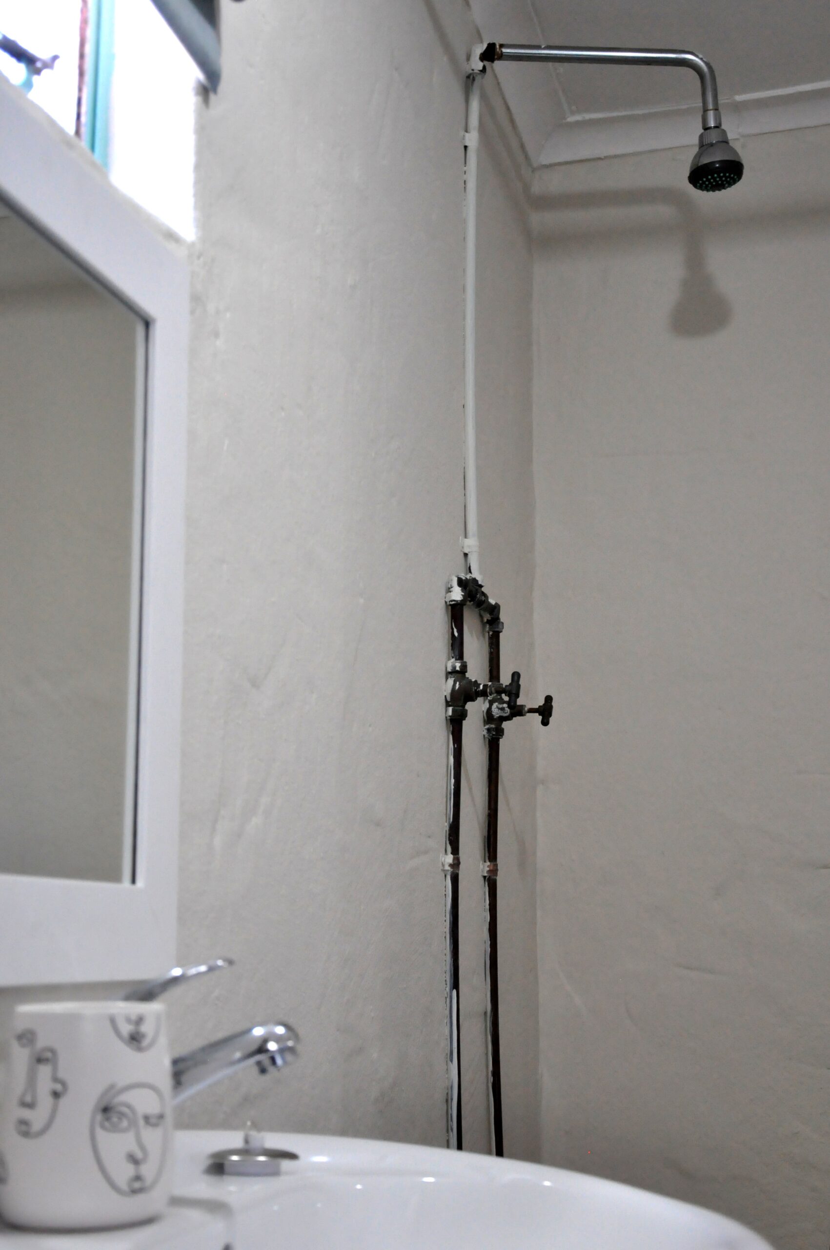 Bathroom shower area